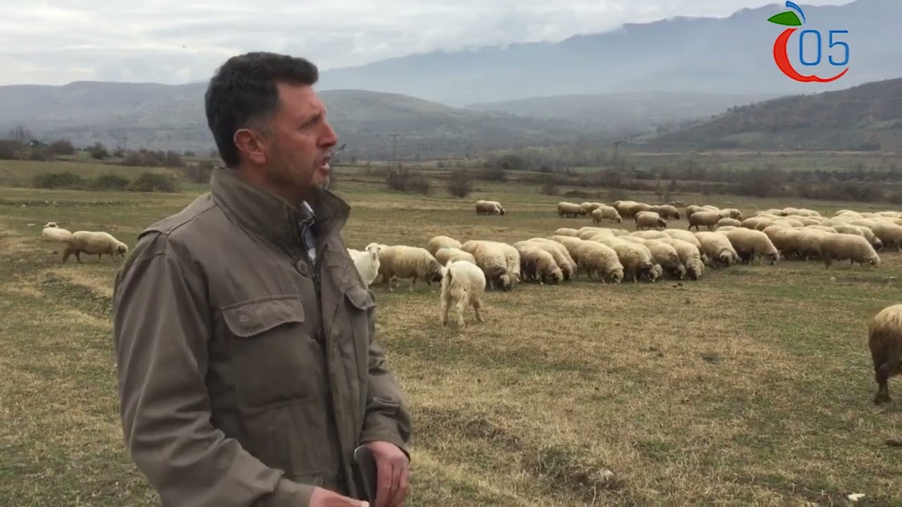 Çambükü köyü Direniyor