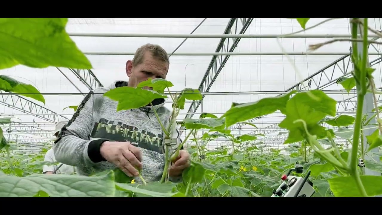 Alaerds Allegro B V  Bedrijfsfilm 2023