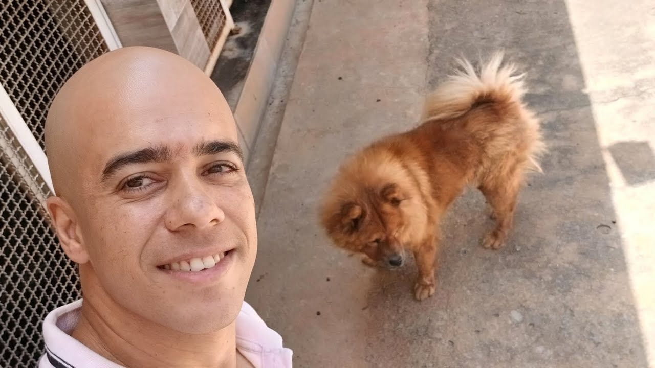 E aí a tosa ficou legal?