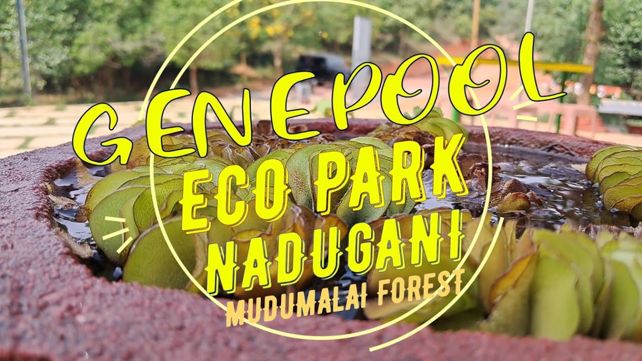 Genepool Eco Park in Nadugani
