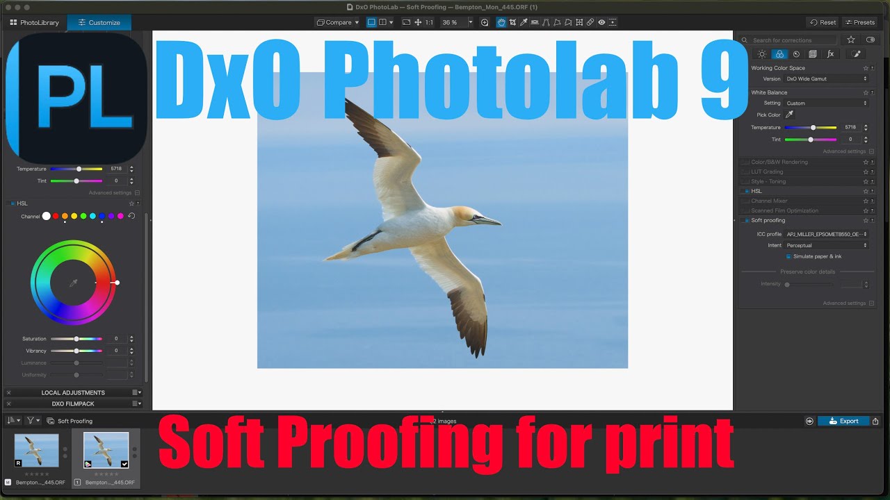 DxO Photolab 9 - Soft Proofing (with discount code)