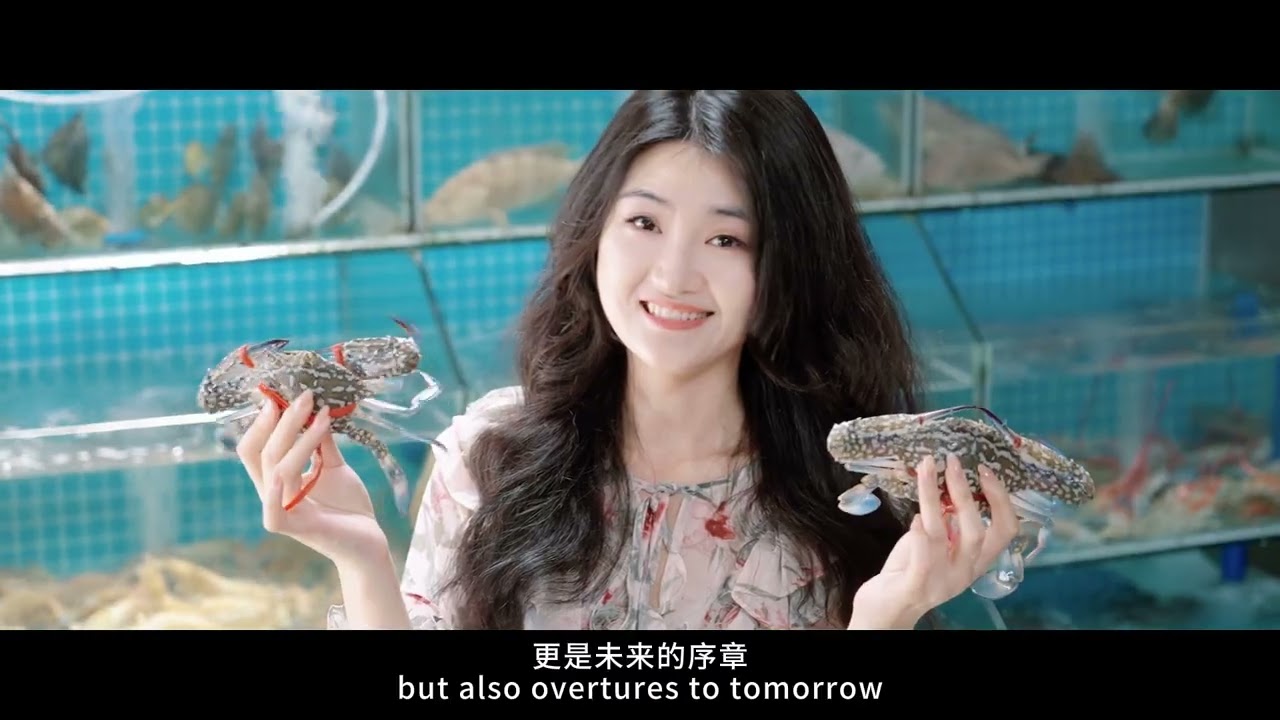 CITTASLOW DONGYING, LINGAO (CHINA)