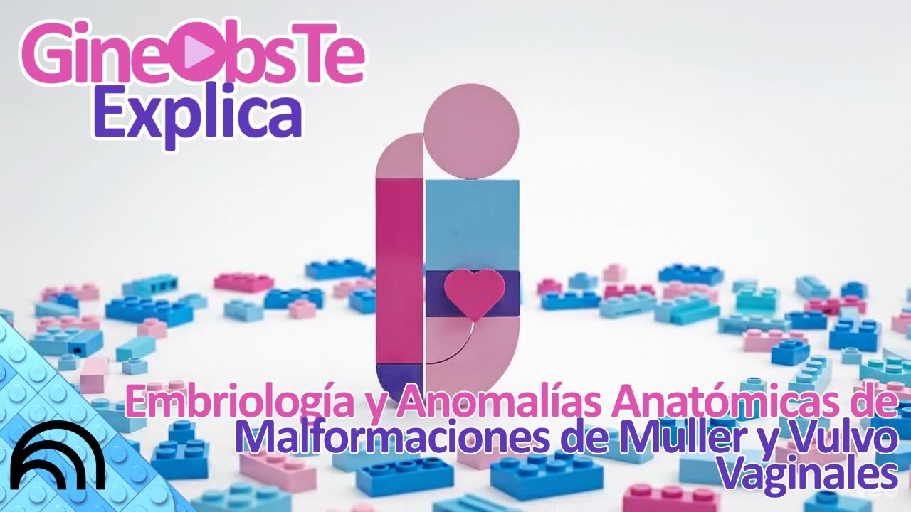 Embriología y Anomalías Anatómicas de Malformaciones de Muller y Vulvo Vaginales | Unidad 2