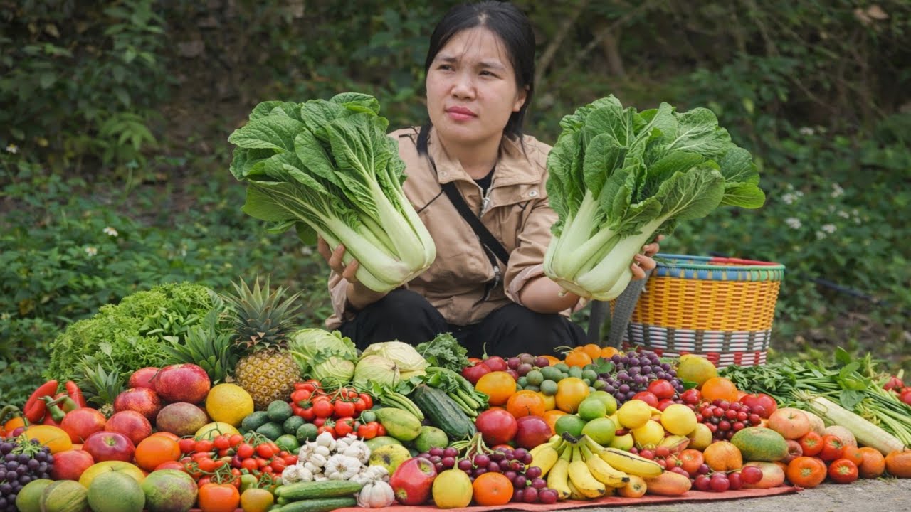 The vegetable and fruit harvesting journey of a 16-year-old single mother. Lý Tử Hường