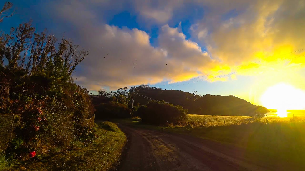 New Zealand: Stewart Island scenic drive 4K