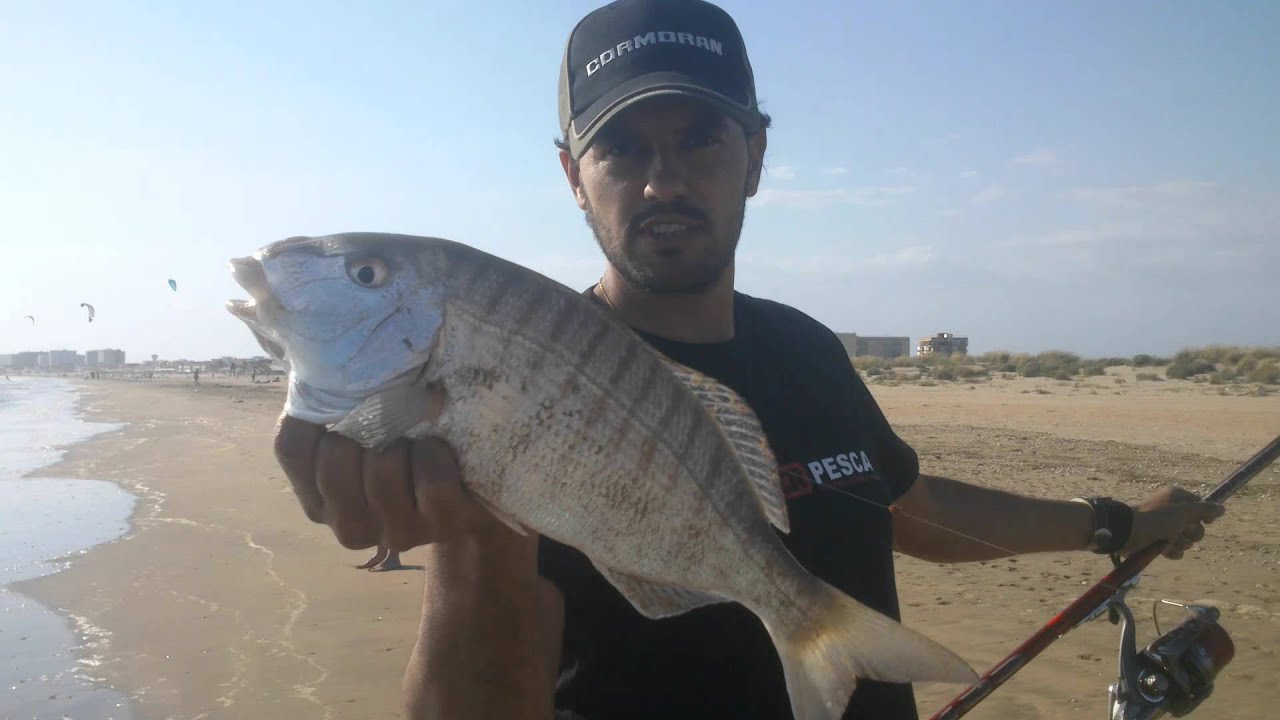 Captura de Herreras a surf casting (Victor Cabrera). (LeaderPesca)