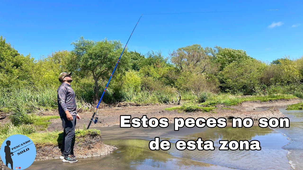 MUY BUENA PESCA EN ESTE PARAÍSO NATURAL