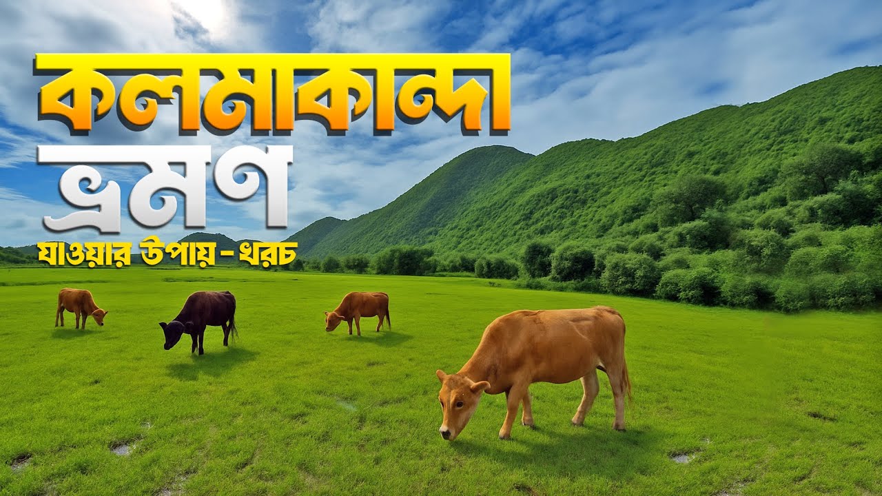 কলমাকান্দা ও বিরিশিরি ভ্রমণের সবকিছু 2025 | Kolmakanda | Birishiri | Netrokona | Pachgaon