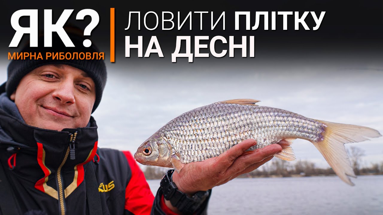 Як ловити батонисту плотву на Десні? Фідерна рибалка весною