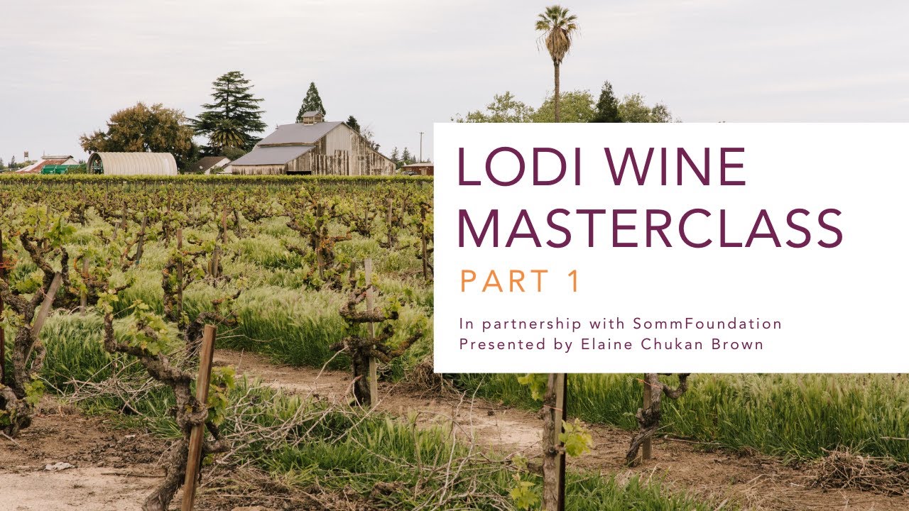Lodi Wine Masterclass with SommFoundation Part 1