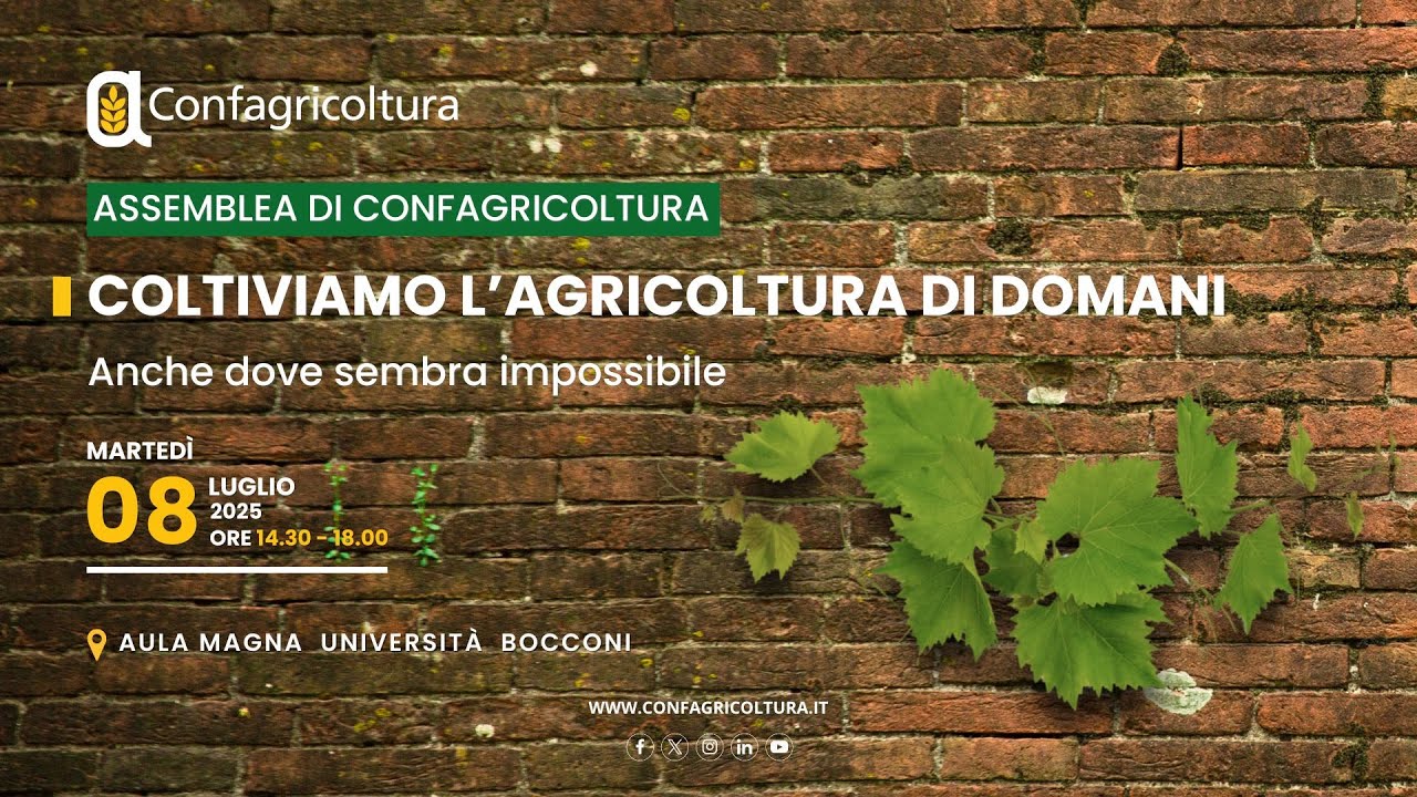 Assemblea 
