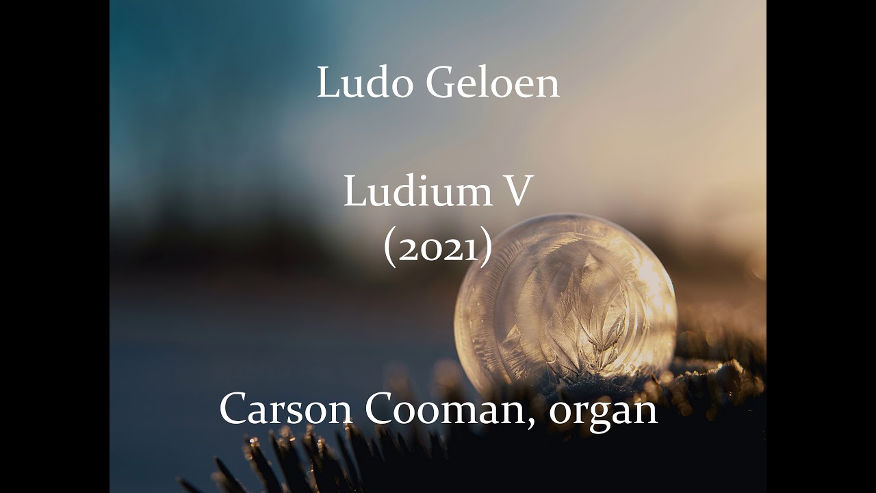 Ludo Geloen &mdash; Ludium V (2021) for organ