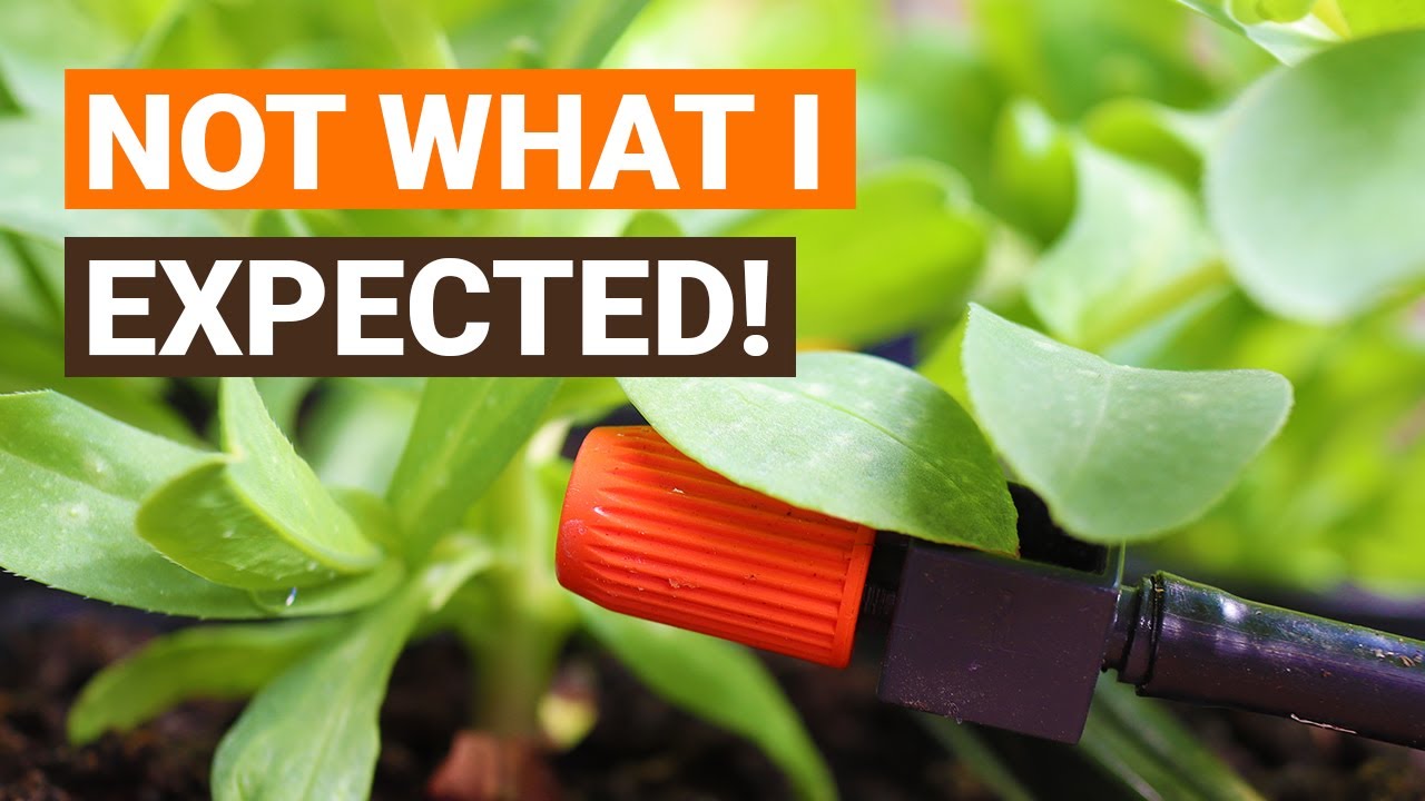One Year With a Smart Gardena Irrigation System!