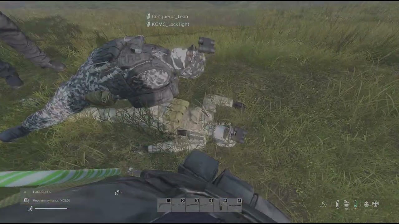 DayZ_20260215180118