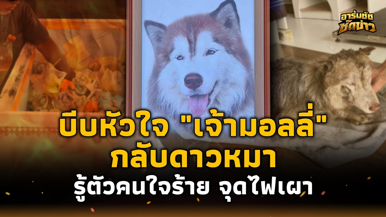 บีบหัวใจส่ง 