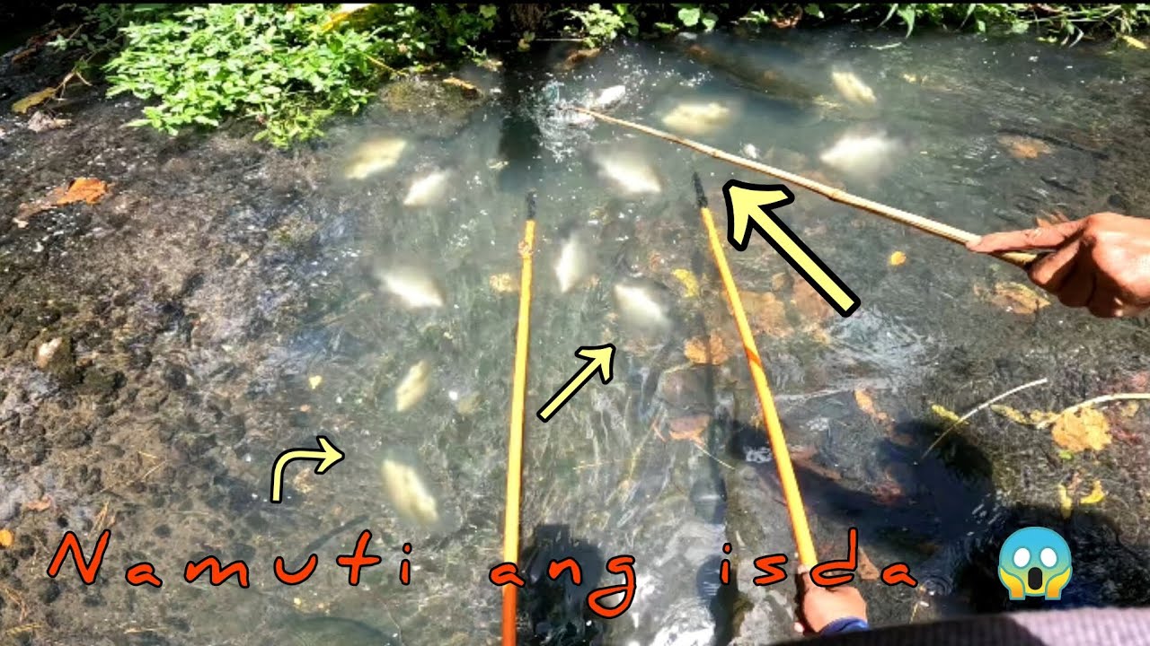 Pinasok kuna ang pinaka pugad ng isda😱
