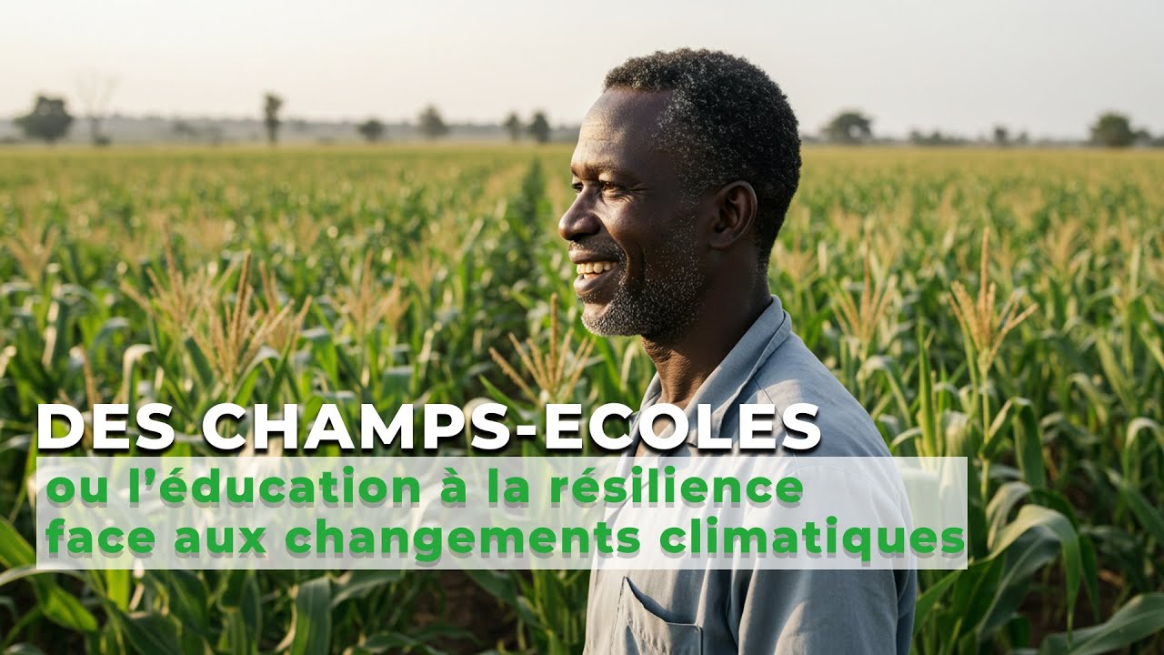 #ACMA3 : des champs-écoles qui arment les producteurs face au #climat