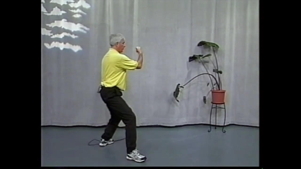 Small Circle Yang Taijiquan   Lesson 4