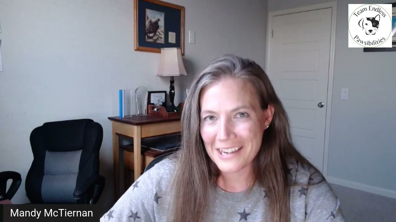Digestive Enzymes, the pancreas & your pets health