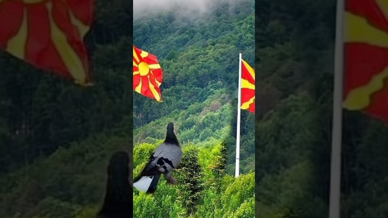 makedonski dunek