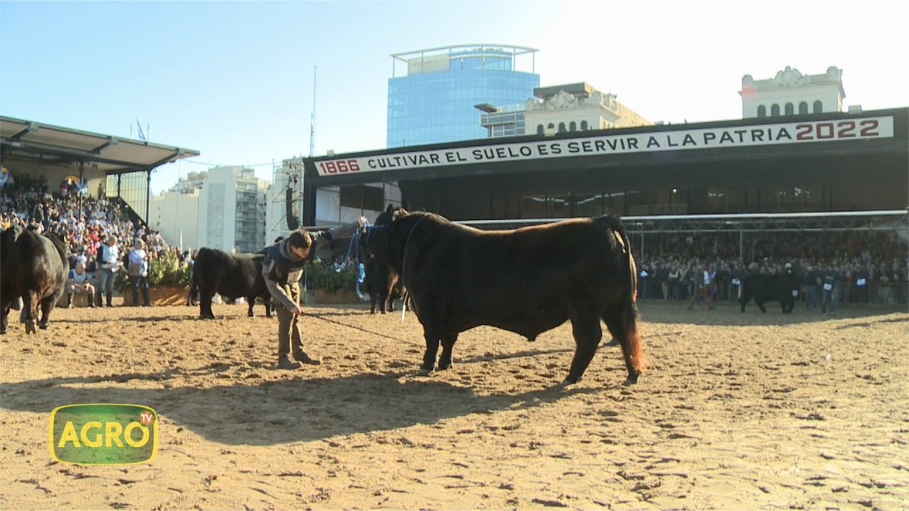 Exposición Rural de Palermo: La vidriera de la mejor genética nacional (#991 2022-08-06)