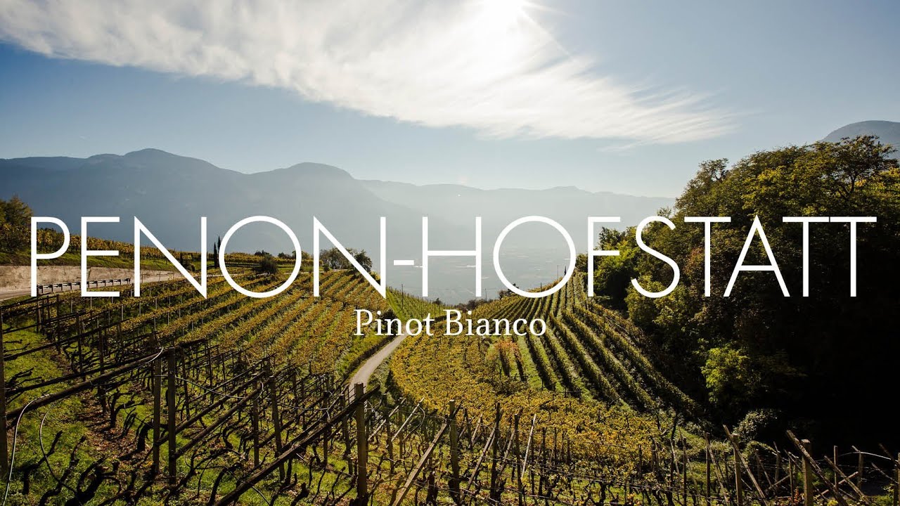 PENON-HOFSTATT - Pinot Bianco