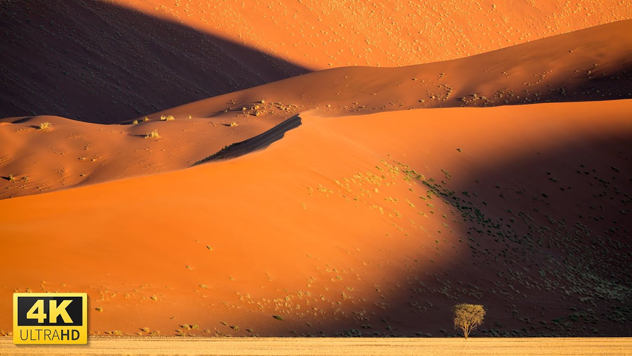 Watch Desert Landscape in 4K Video Ultra HD with Relaxing Music