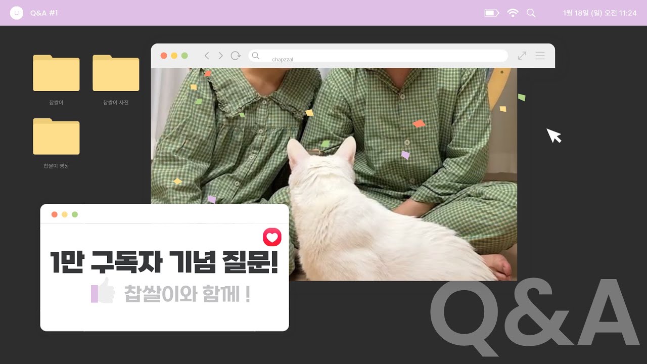 찹쌀이 구독자 1만 명 기념 Q&A&hellip; 고양이도 아닌 우리가 이런 걸 해도 될까?