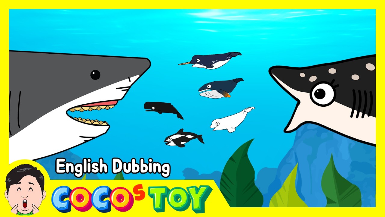50minㅣEn DubbingㅣA collection of about baby whales and baby sharksㅣsharks & whales for kidsㅣCoCosToy