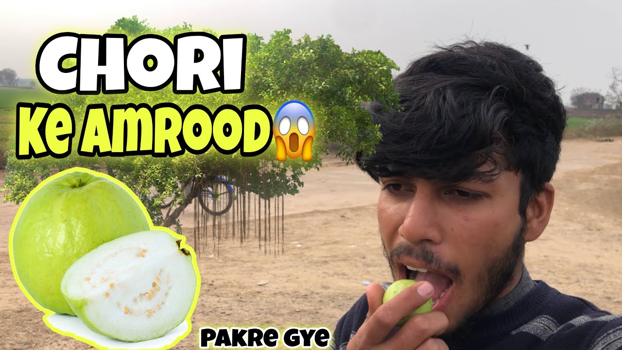 Chori ke amrood 😱 cycle chalai boht maza aya 🚲