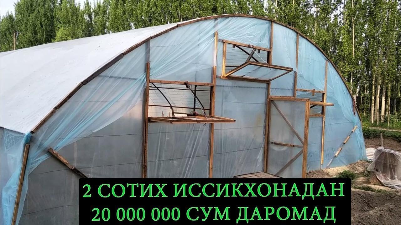 2-СОТИХДАН 20 МИИЛЛИОН СУМ ДАРОМАД