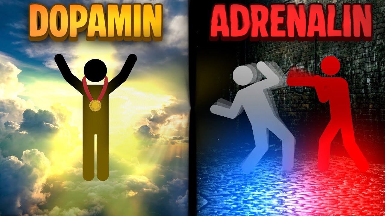 Tüm Hayatını HORMONLARIN Yönetiyor!