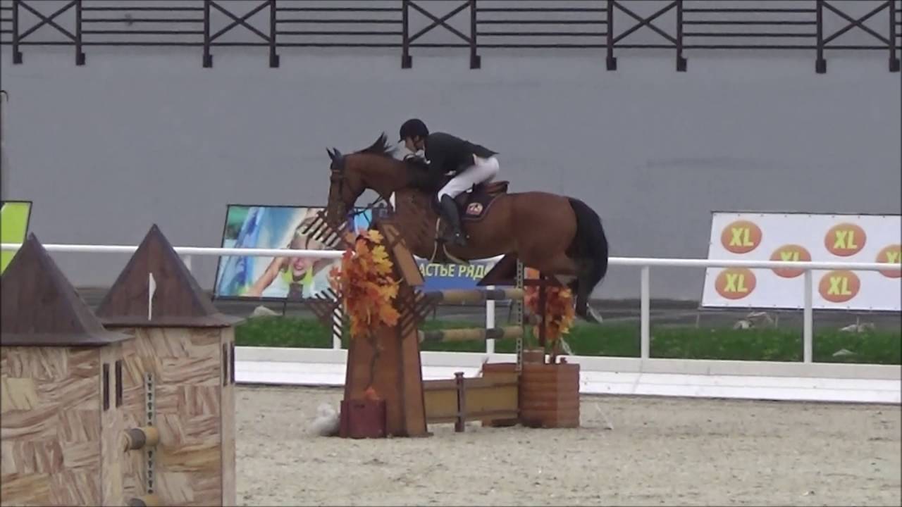 Hardcase (Andiamo x Purioso)