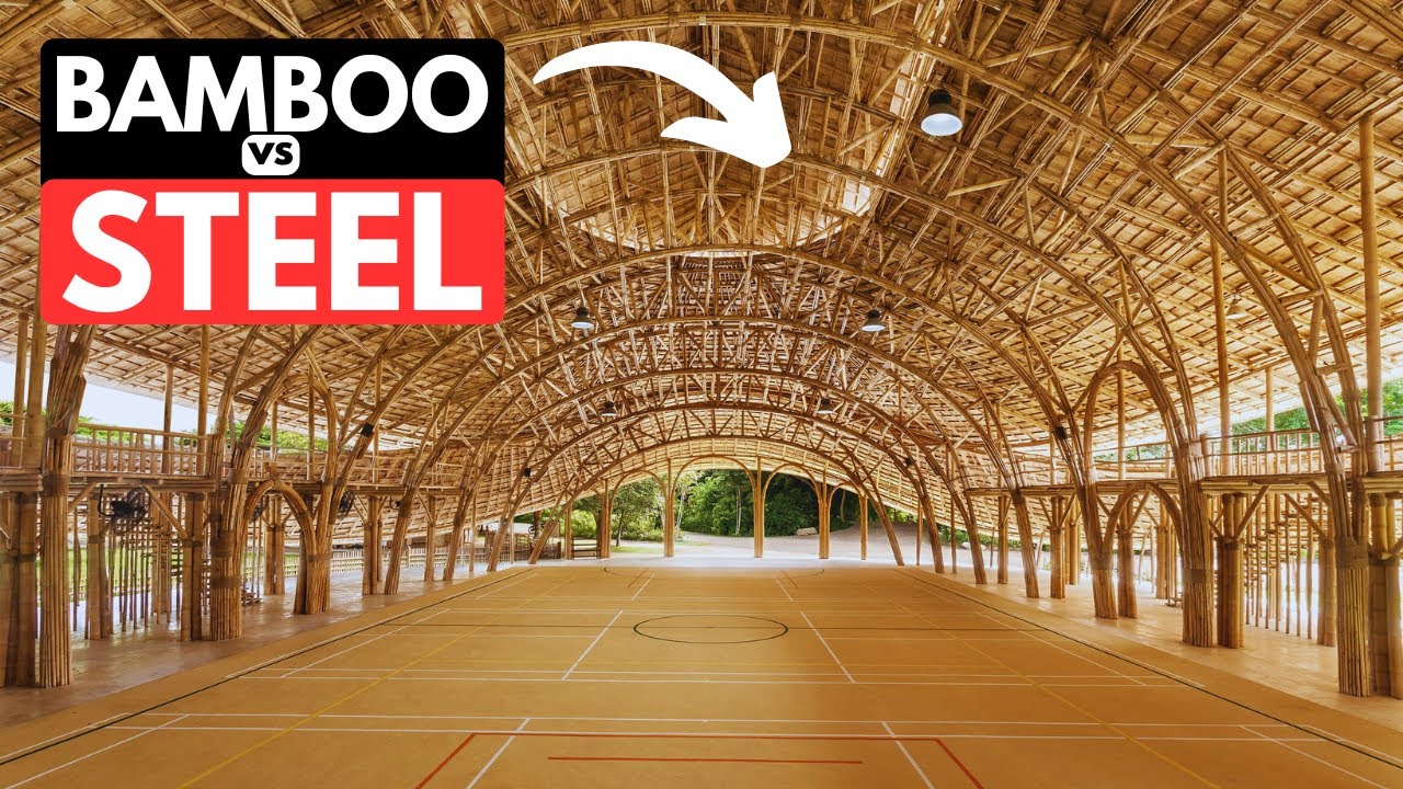 Bamboo vs Steel: Could This Replace Everything?