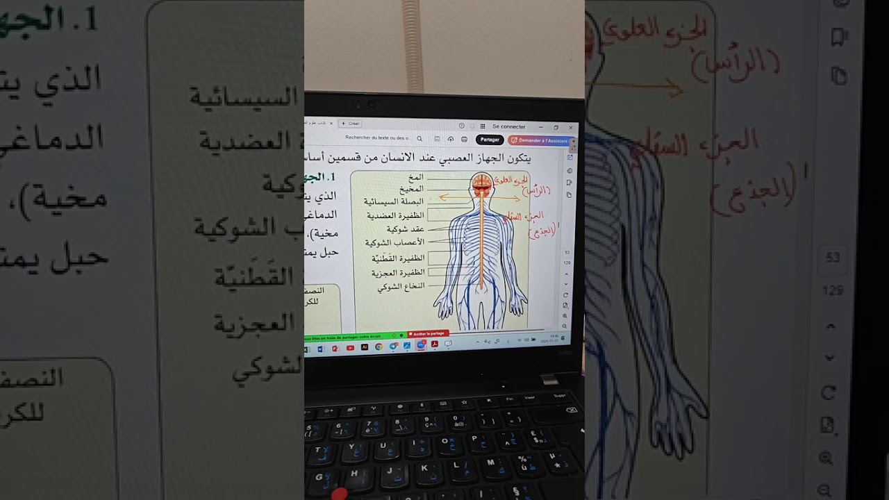 مكونات الجهاز العصبي #رابعة_متوسط 
