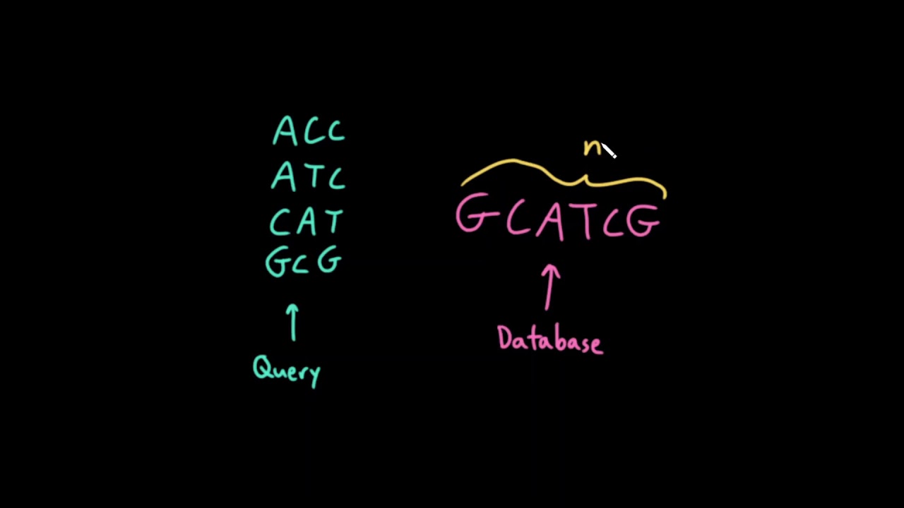 Advanced Data Structures: Matching a Query Set of Many Short Strings to a Long Database String