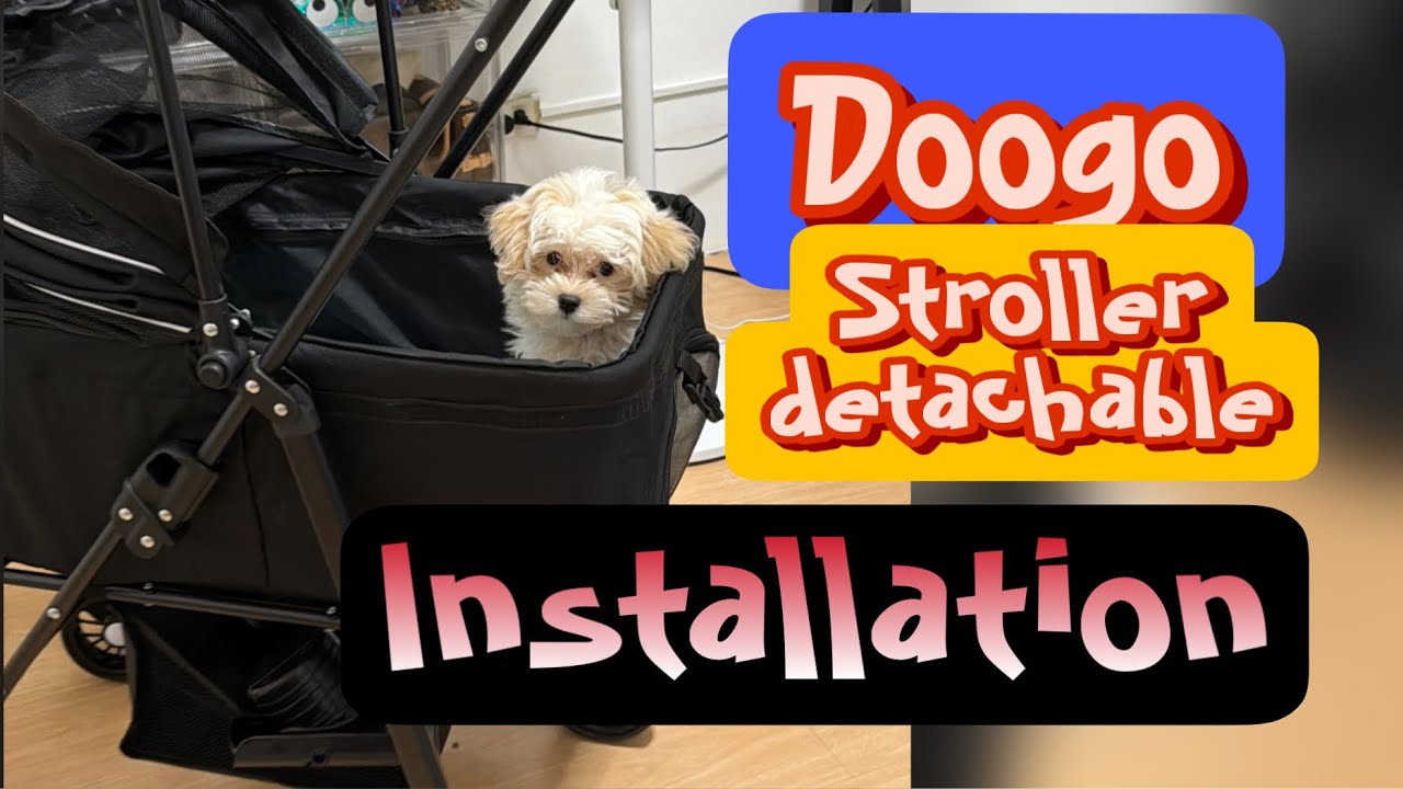 Doogo detachable stroller installation 