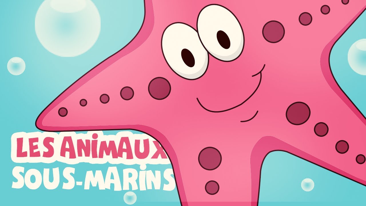 Les animaux sous marins!  Animaux sauvages pour bébé