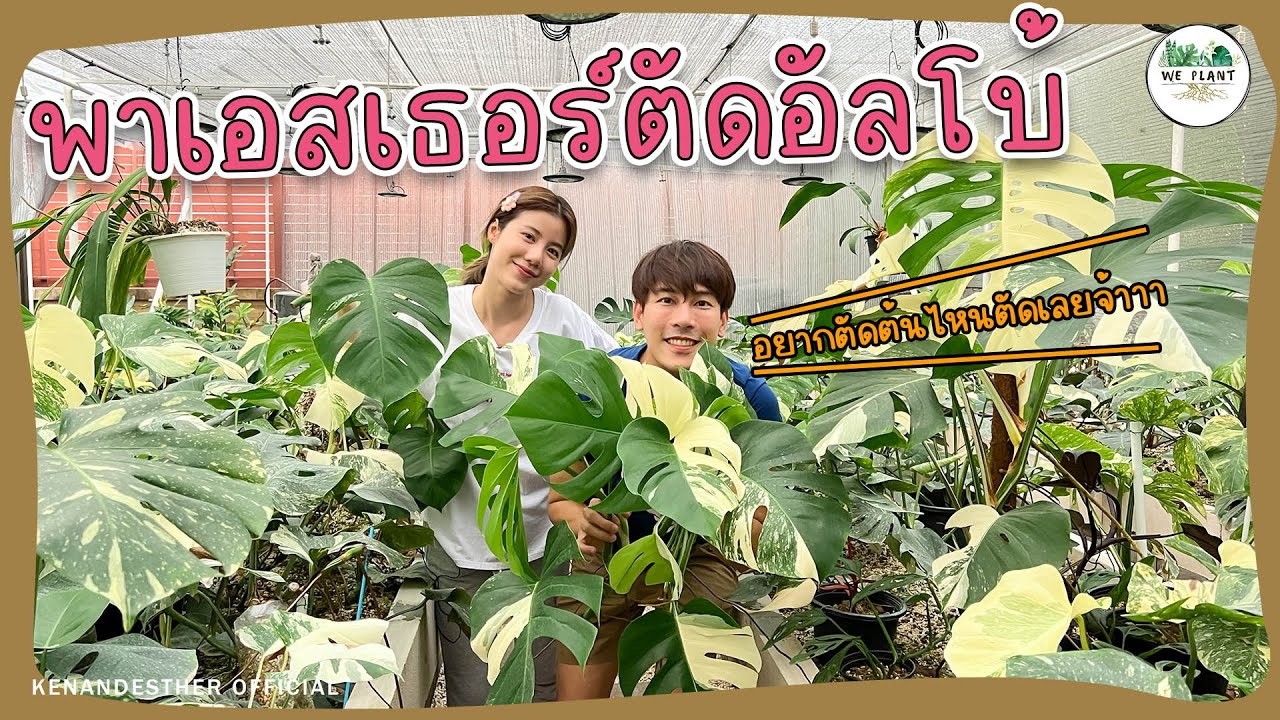สอนเอสเธอร์ตัดอัลโบ้ (: | We Plant | EP17
