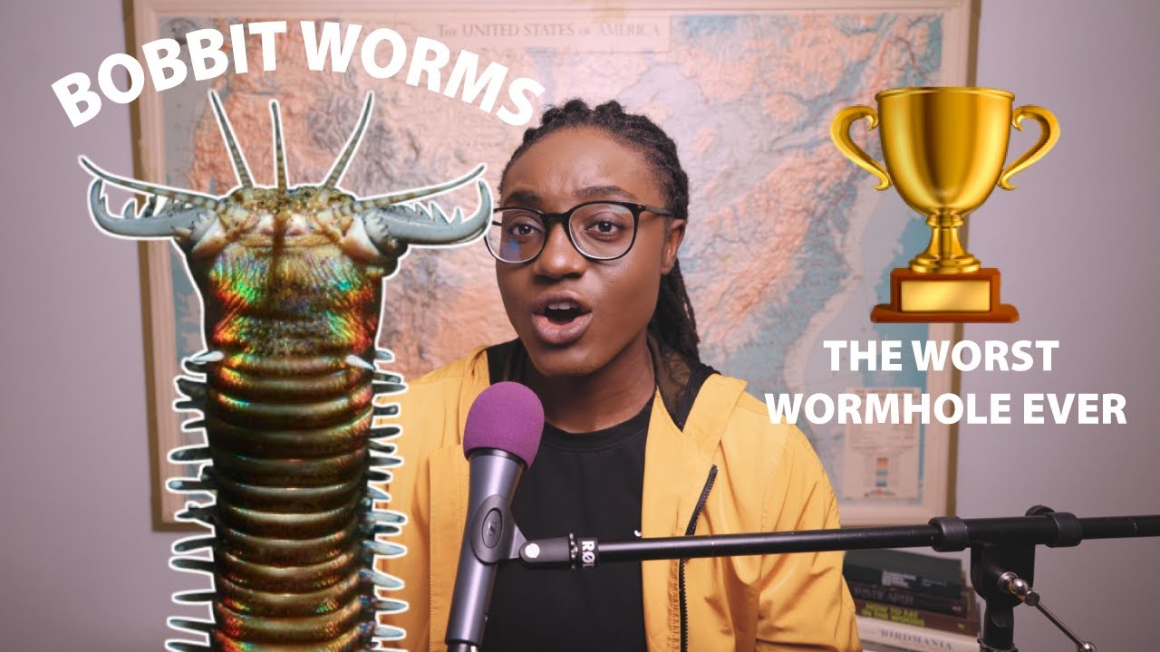 Bobbit worm hunts fish