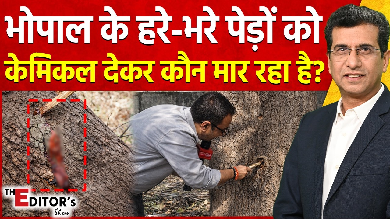 The Editor's Show: भोपाल के हरे-भरे पेड़ों को  केमिकल देकर कौन मार रहा है ? | Bhopal Deforestation