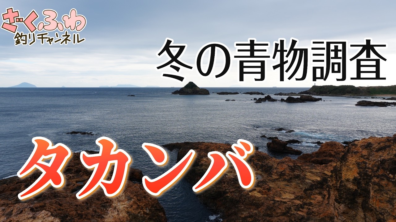 超人気地磯タカンバでセットアッパー縛りの青物&ヒラスズキ調査！【釣場調査】【南伊豆】【ショアジギ】