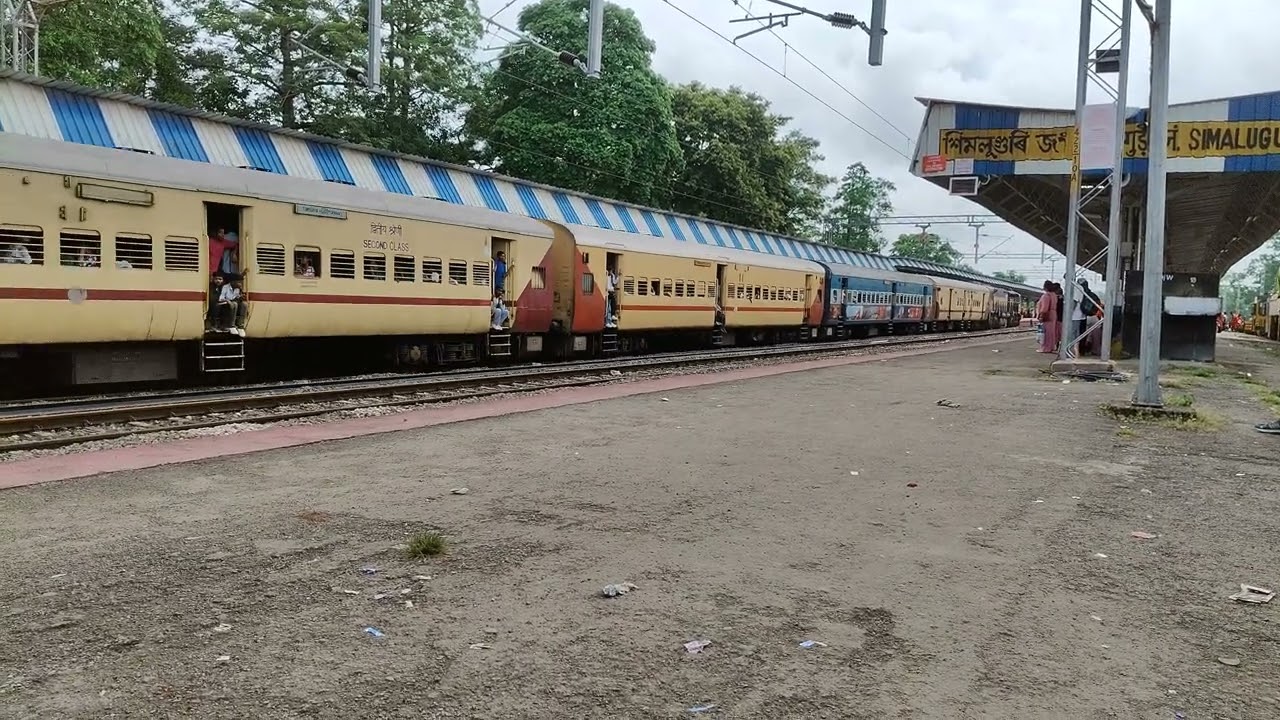 (55913) Jorhat Town -Tinsukia Jn Passenger departed from Simaluguri Jn