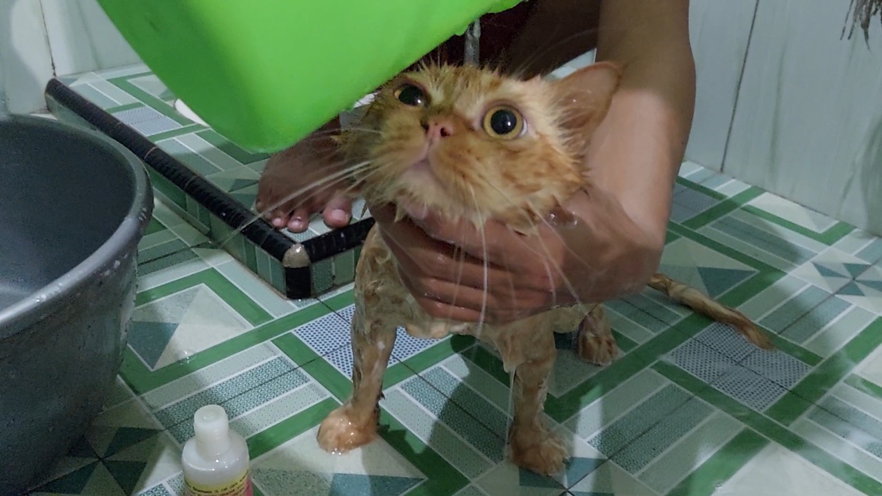 Mandiin Si Oyen Dulu..