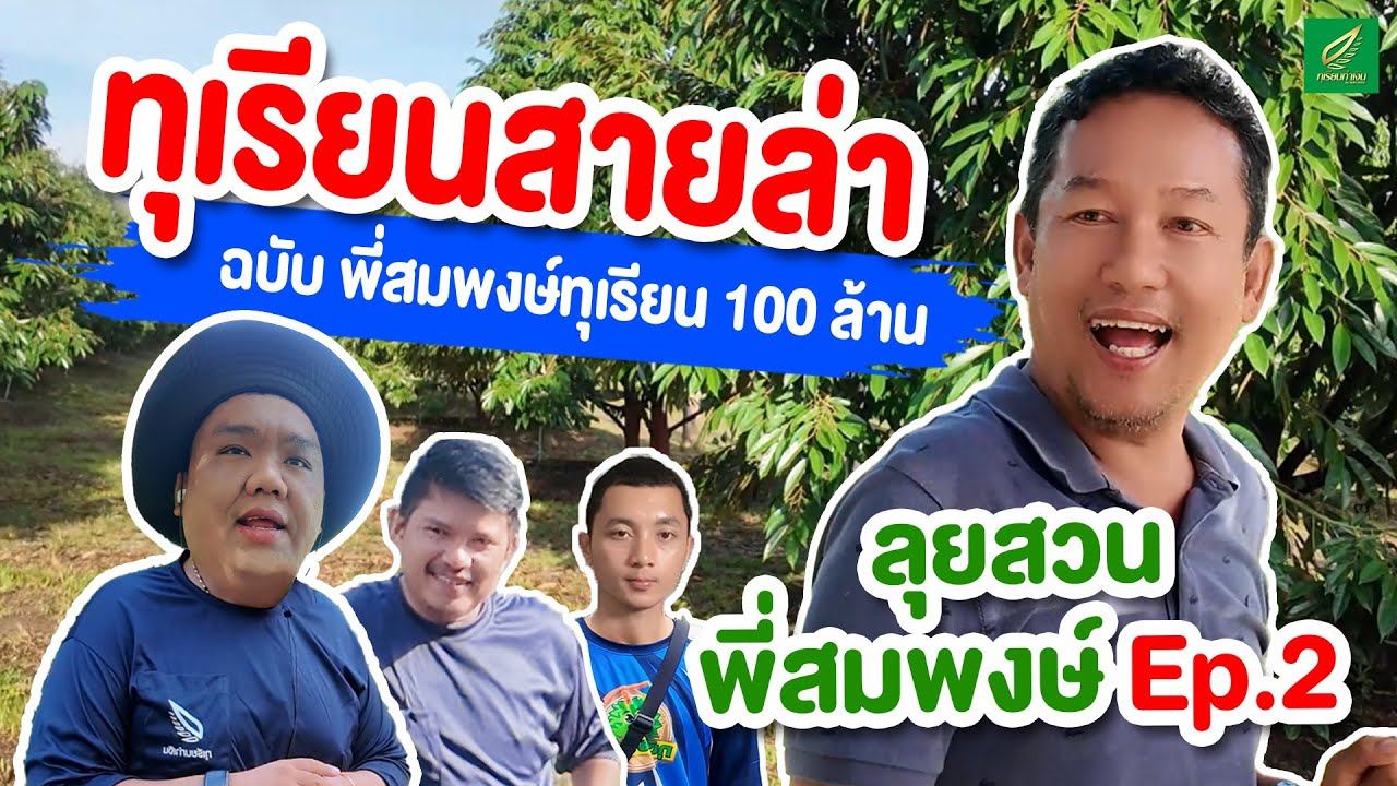 ทุเรียนสายล่า ฉบับพี่สมพงษ์ทุเรียน 100 ล้าน