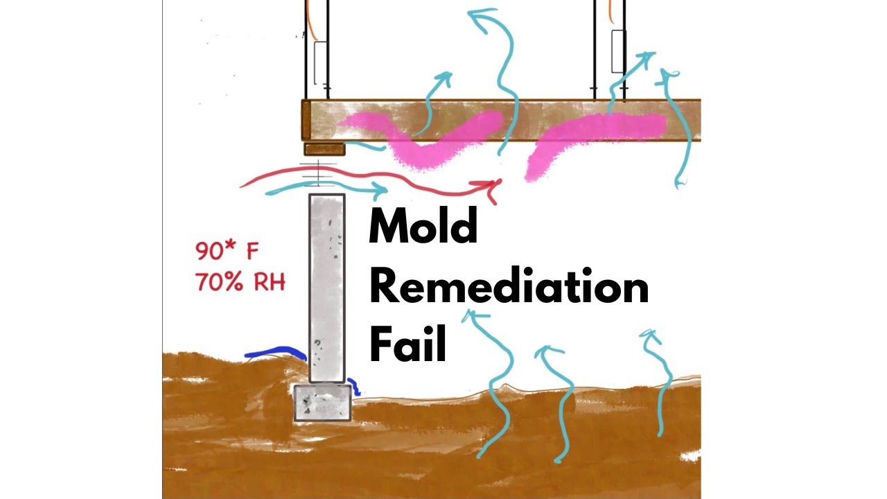 This Is Why Mold Remediation Won&rsquo;t Stop It From Coming Back!