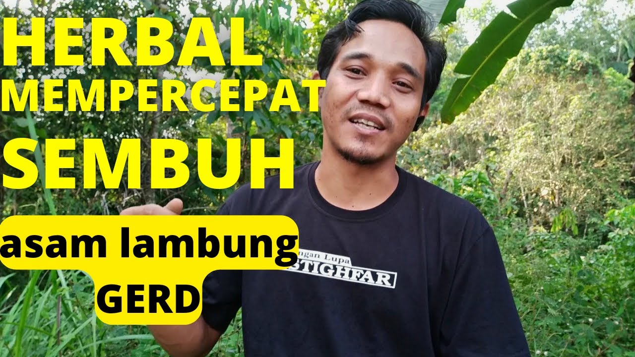 Part 52 herbal untuk asam lambung