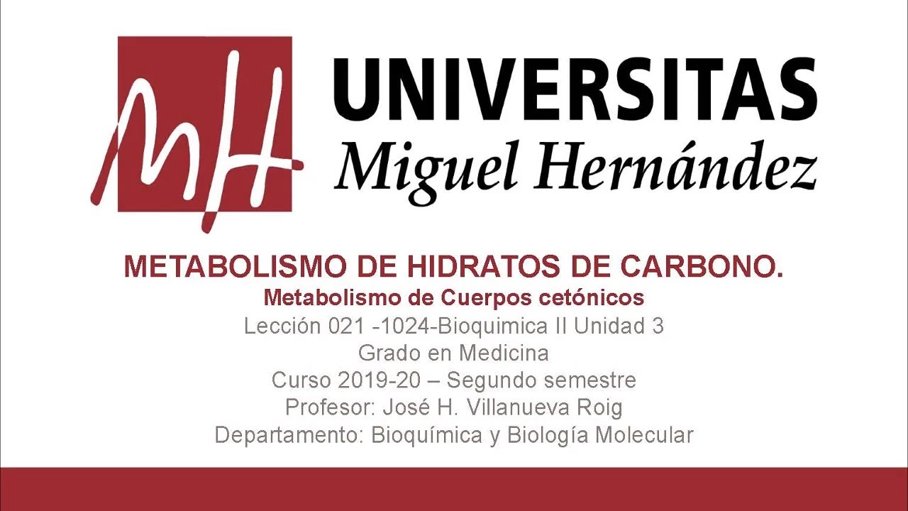 Lecc021 Metabolismo de cuerpos cet&oacute;nicos (Umh1024 2019-20)
