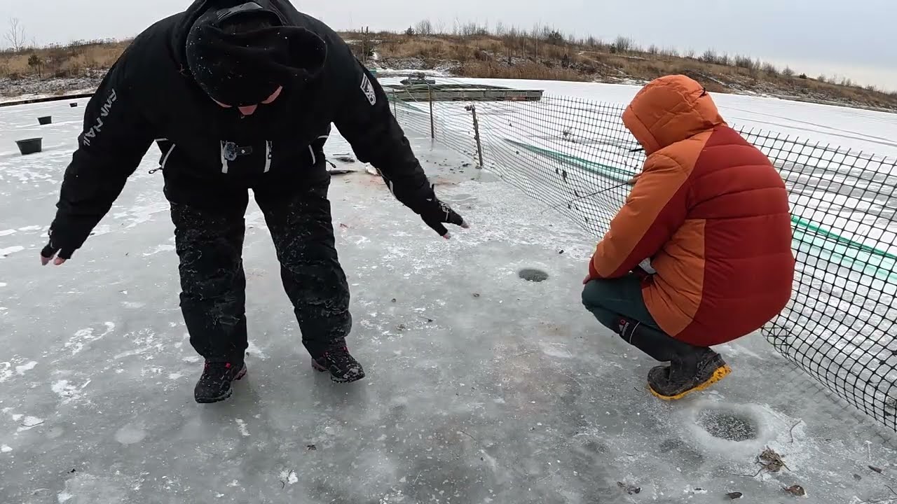 Чем отличается ловля форели на поставушки и жерлицы Открытие первого льда