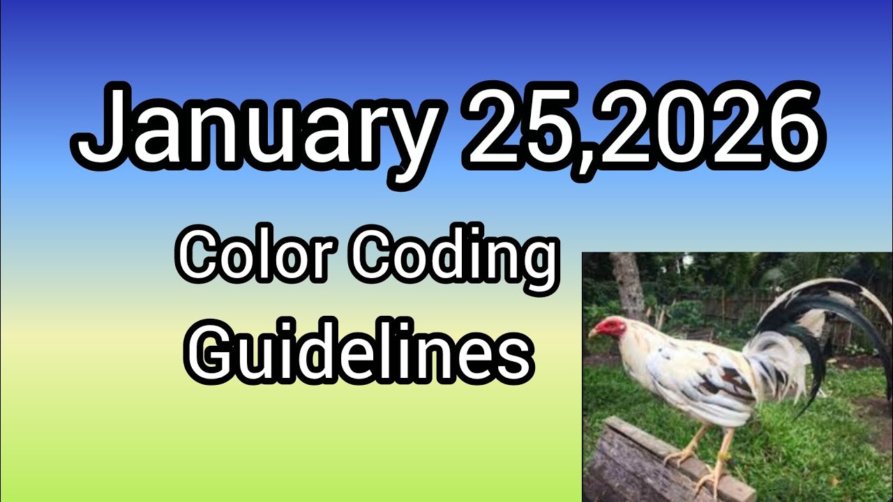 January 25,2026 Color Coding Guidelines 